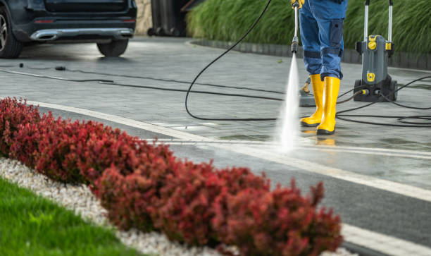Best Building Exterior Washing  in Wedgefield, FL